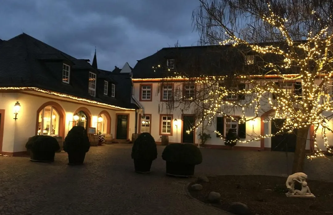 Residenz Weingut Schloss Reinhartshausen-1